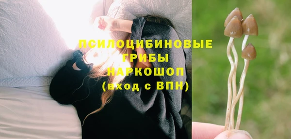 ГАЛЛЮЦИНОГЕННЫЕ ГРИБЫ Алексин