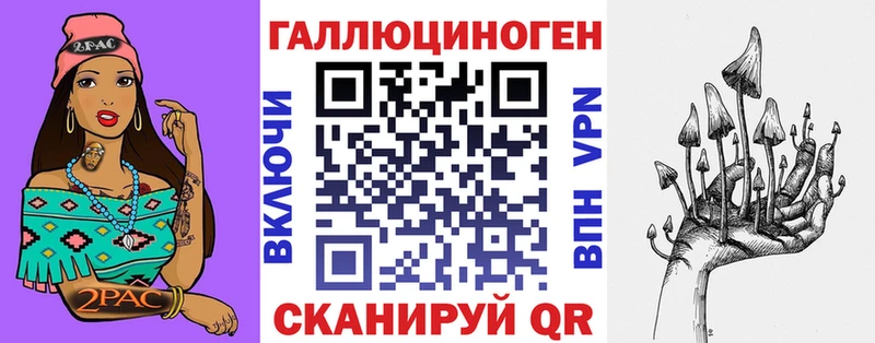 Галлюциногенные грибы Psilocybe  Моздок 